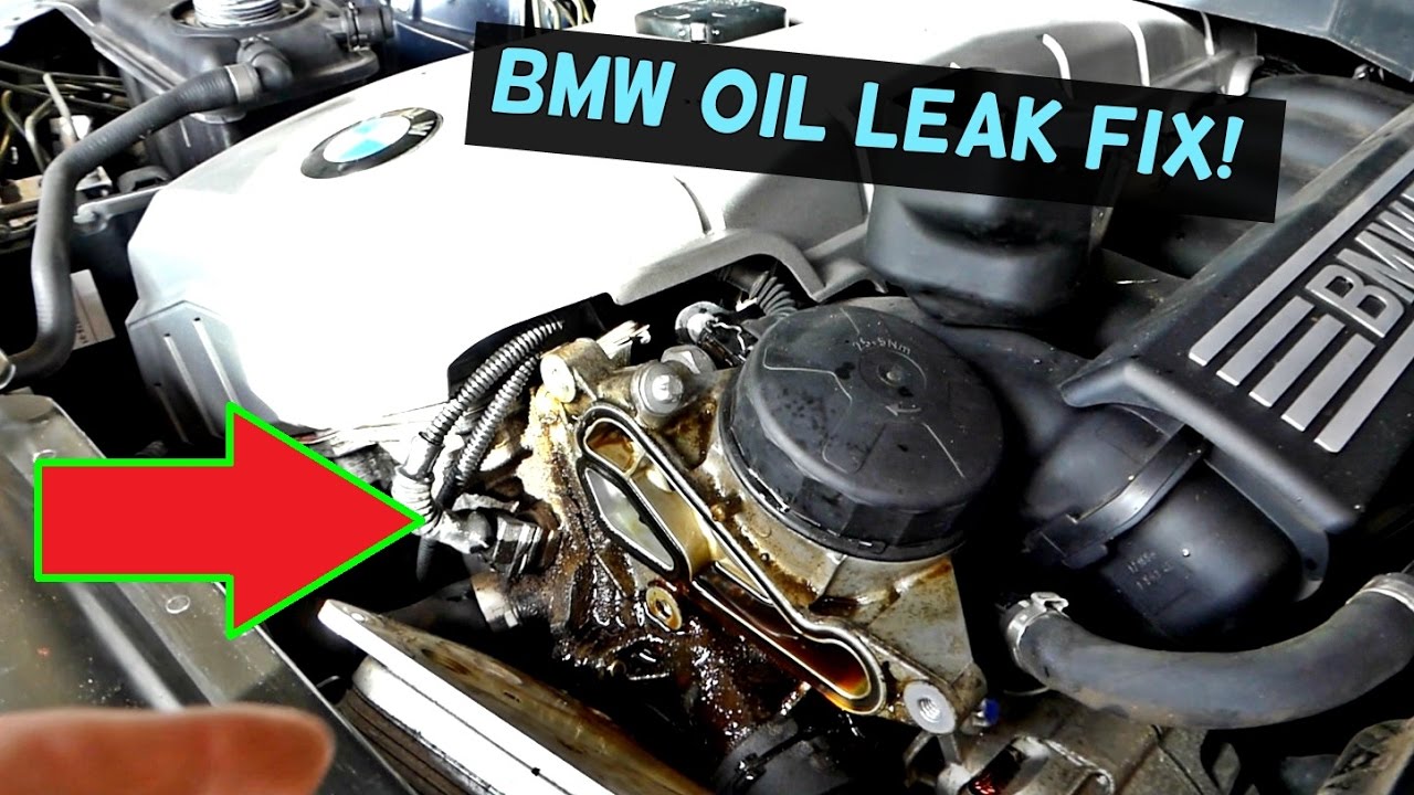 See P0020 in engine